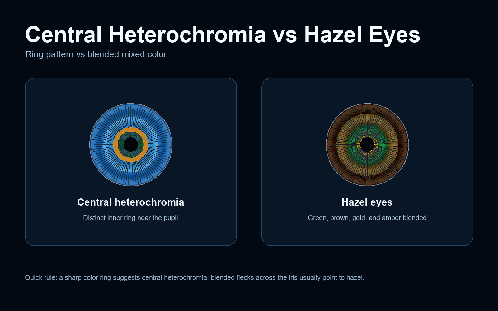 Central heterochromia vs hazel eyes comparison showing a sharp inner ring versus blended hazel tones