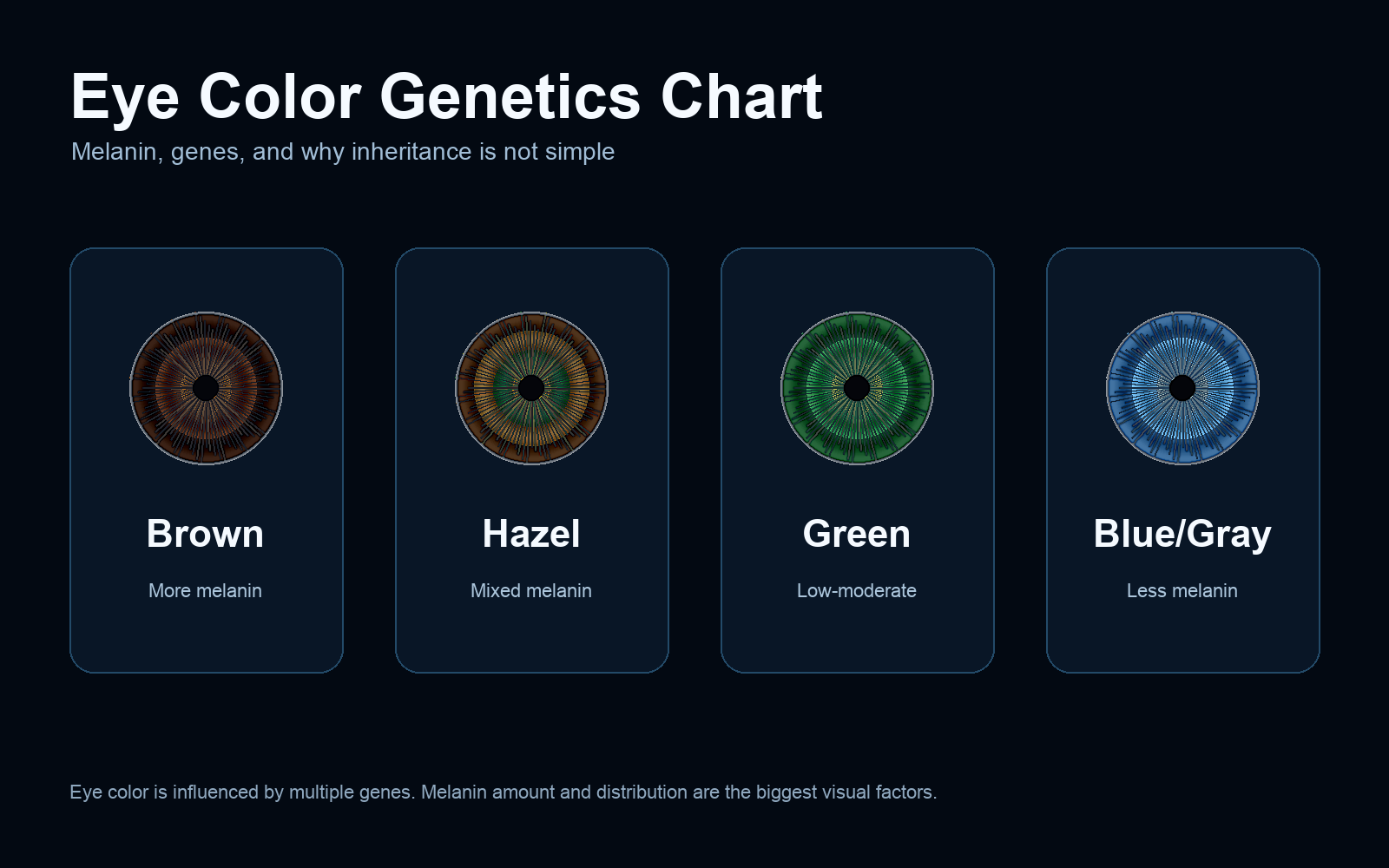 Eye color genetics chart showing brown, hazel, green, and blue gray eyes by melanin level