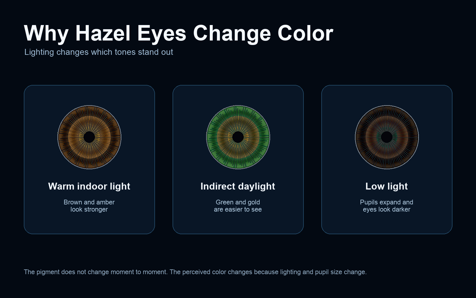 Hazel eyes lighting comparison showing warm indoor light, indirect daylight and low light effects